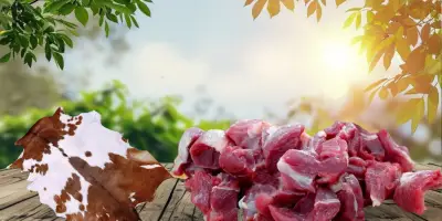 কোরবানির নিজ অংশের গোশত বিক্রি কী জায়েজ?